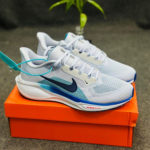Nike Pegasus 41 White Blue