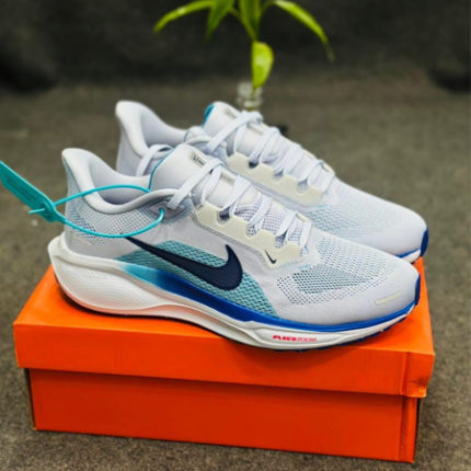 Nike Pegasus 41 White Blue